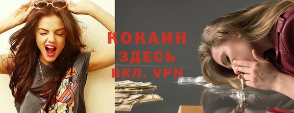 дмт Няндома
